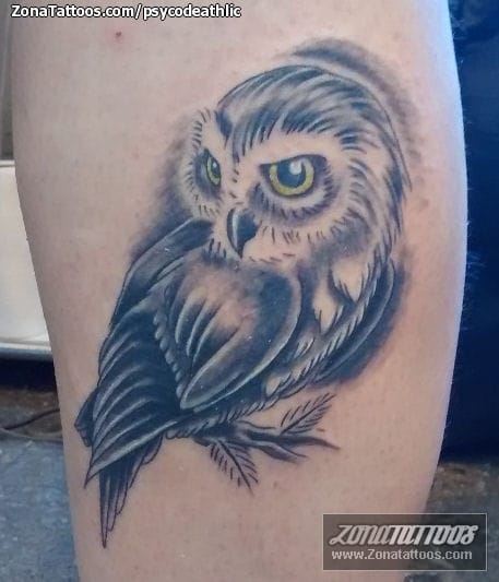 Tattoo photo Birds, Owls, Animals