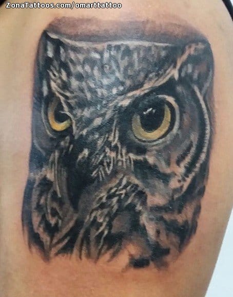 Foto de tatuaje Búhos, Aves, Animales