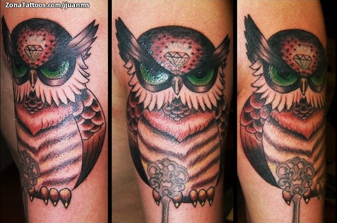 Tattoo photo Animals, Birds, Owls