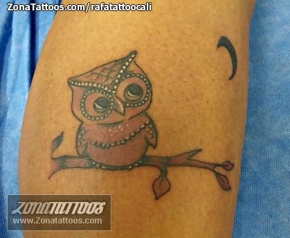 Foto de tatuaje Búhos, Aves, Animales