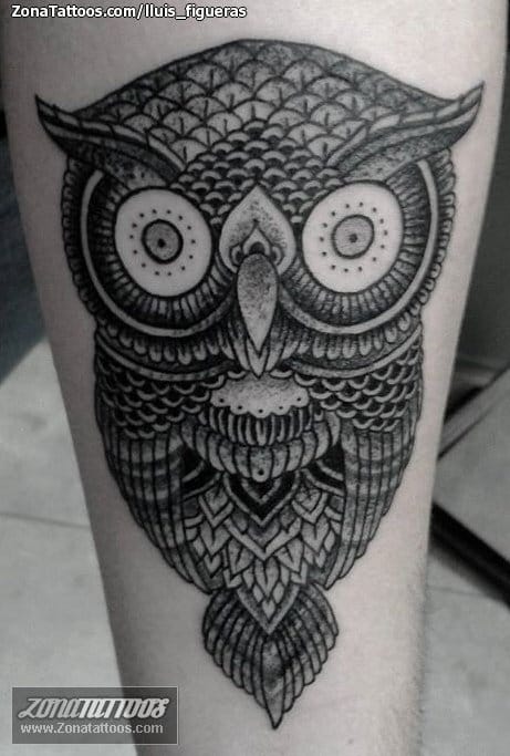 Tattoo photo Owls, Birds, Animals