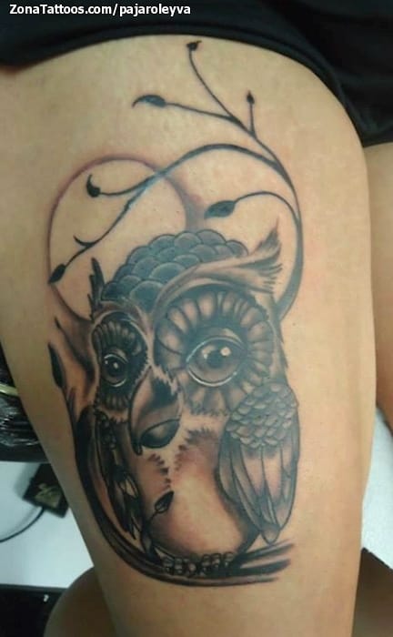 Foto de tatuaje Búhos, Aves, Animales