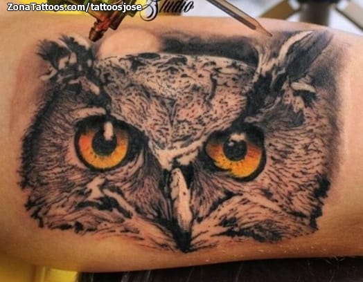 Foto de tatuaje Búhos, Aves, Animales