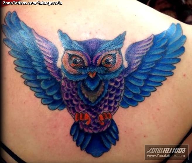 Foto de tatuaje Búhos, Aves, Animales