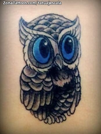 Foto de tatuaje Aves, Búhos, Animales