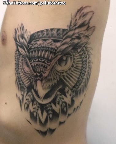 Foto de tatuaje Búhos, Aves, Animales