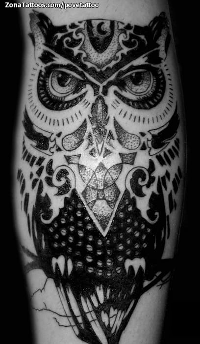 Foto de tatuaje Búhos, Aves, Animales