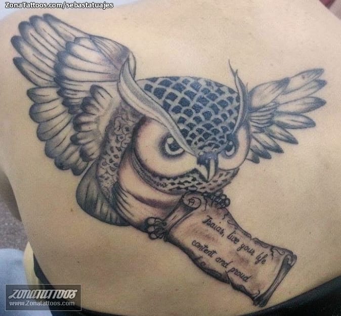 Foto de tatuaje Búhos, Aves, Animales