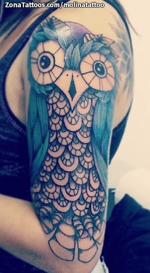 Foto de tatuaje Búhos, Aves, Animales