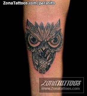 Tattoo photo Owls, Birds, Animals