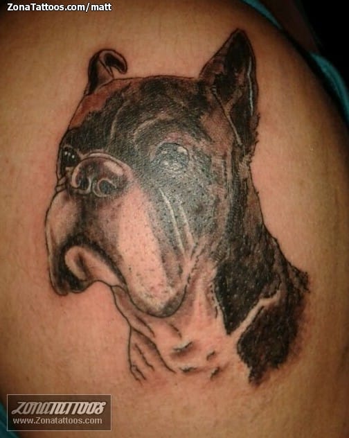 Foto de tatuaje Bulldogs, Perros, Animales