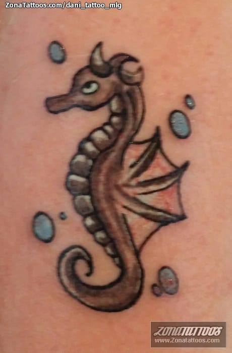 Tattoo photo Seahorses, Animals