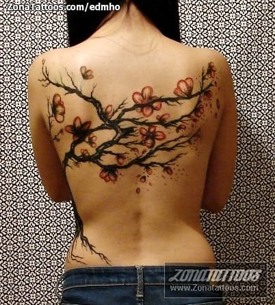 Tattoo photo Trees, Back, Cherry blossoms