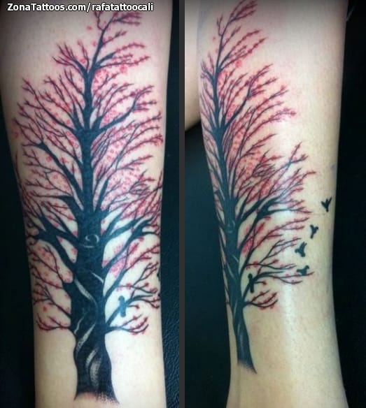 Tattoo photo Trees, Cherry blossoms