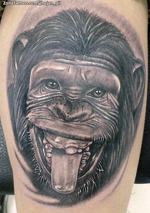 Foto de tatuaje Chimpancés, Monos, Animales