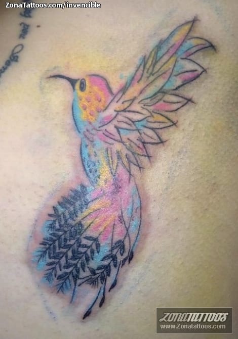 Foto de tatuaje Colibríes, Aves, Animales