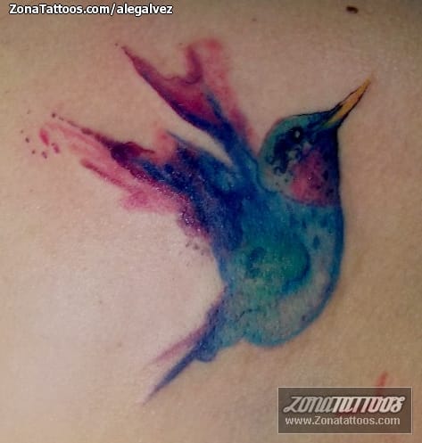 Foto de tatuaje Colibríes, Aves, Animales