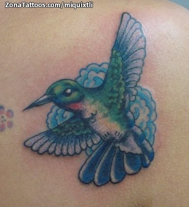 Foto de tatuaje Colibríes, Aves, Animales