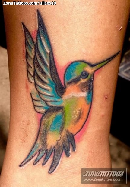 Foto de tatuaje Colibríes, Aves, Animales