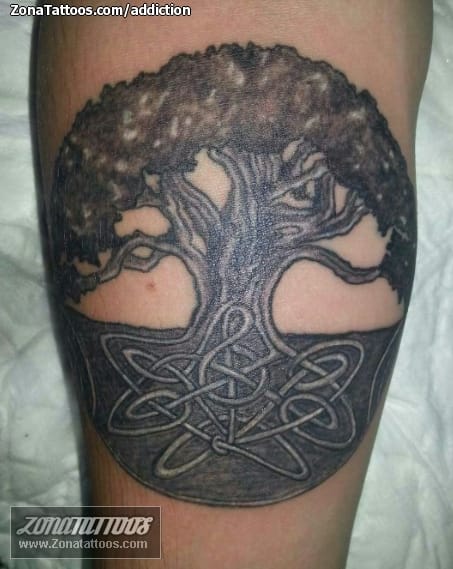 Tattoo photo Crann Bethadh, Celtic, Trees