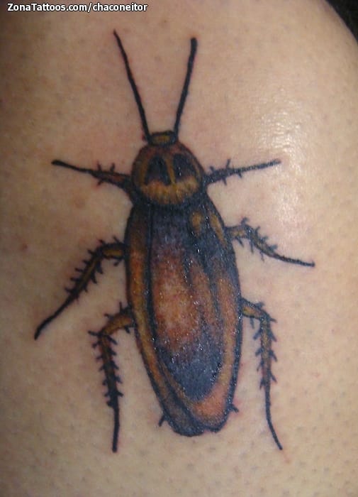 Foto de tatuaje Cucarachas, Insectos, Animales