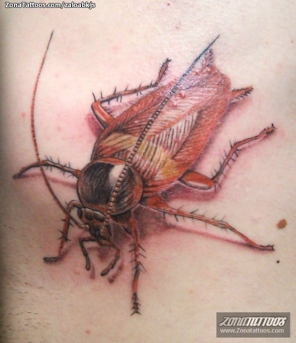 Foto de tatuaje Cucarachas, Insectos