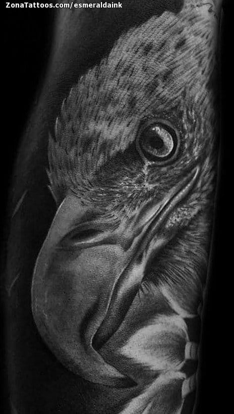 Foto de tatuaje Cuervos, Aves, Animales