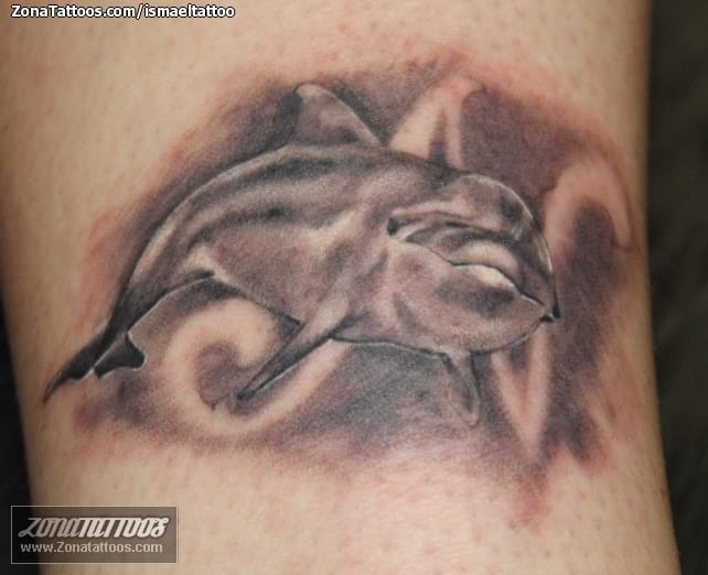 Foto de tatuaje Delfines, Animales