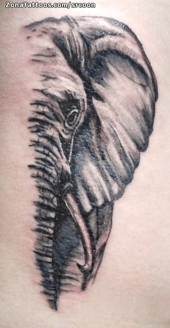 Tattoo photo Elephants, Animals