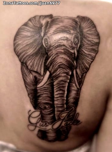 Foto de tatuaje Elefantes, Animales