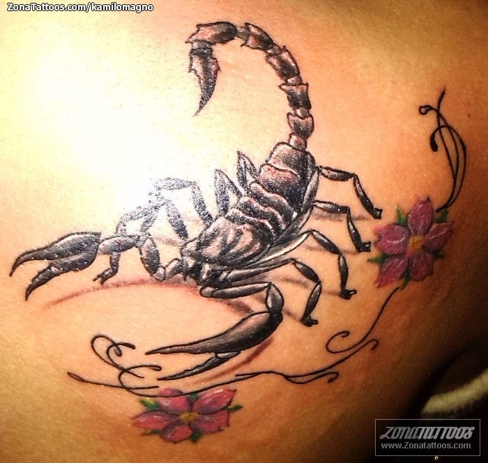 Tattoo photo Scorpions, Insects