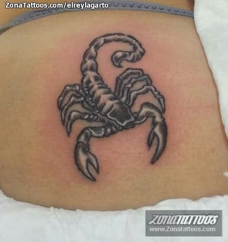 Tattoo photo Scorpions, Insects