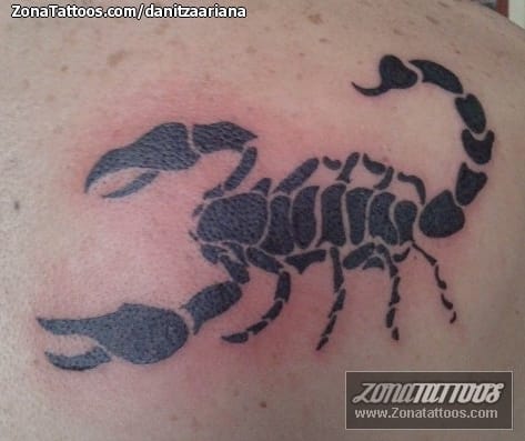 Tattoo photo Scorpions, Insects