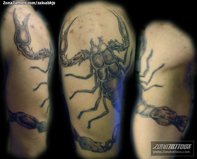 Tattoo photo Scorpions, Insects