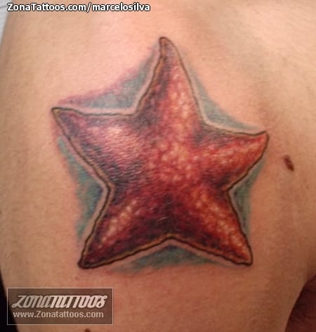 Tattoo photo Starfish, Animals