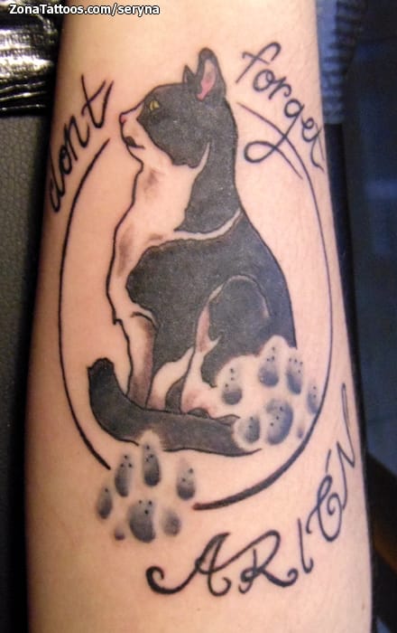 Tattoo photo Cats, Animals