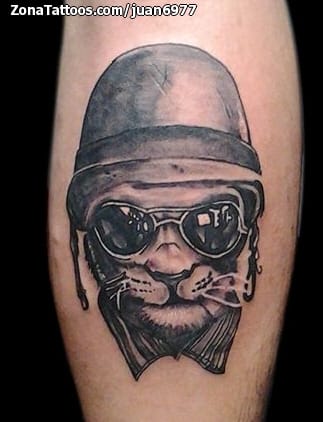 Tattoo photo Cats, Helmets, Glasses