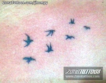 Foto de tatuaje Aves, Animales