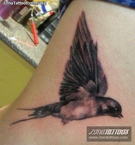 Foto de tatuaje Golondrinas, Aves, Animales