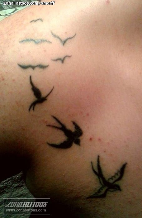 Foto de tatuaje Golondrinas, Aves, Animales