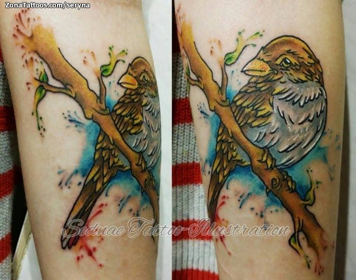 Foto de tatuaje Gorriones, Aves, Animales