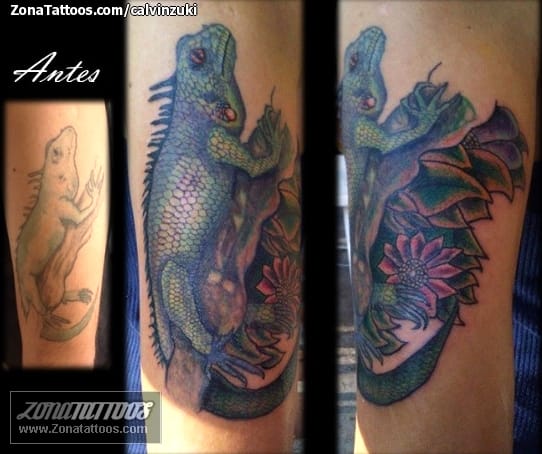 Foto de tatuaje Iguanas, Lagartos, Animales