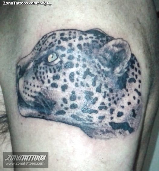 Foto de tatuaje Jaguares, Animales