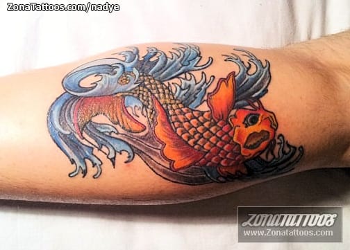 Foto de tatuaje Koi, Peces, Animales