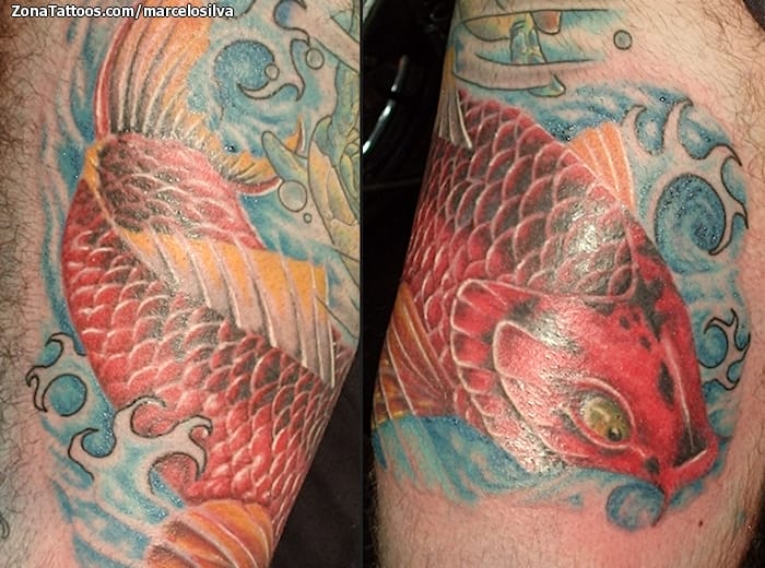 Tattoo photo Asian, Koi, Fish