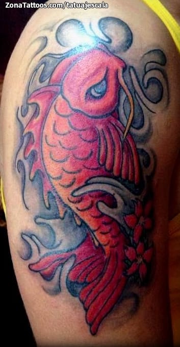 Tattoo photo Koi, Fish, Animals