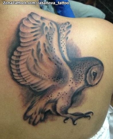 Tattoo photo Owls, Birds, Animals