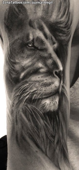 Tattoo photo Animals, Lions