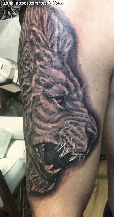 Foto de tatuaje Leones, Animales