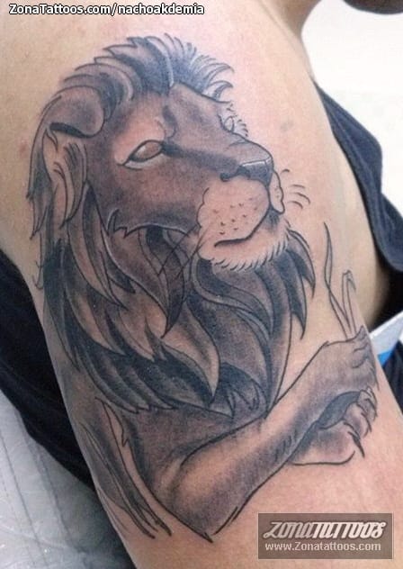 Tattoo photo Lions, Animals